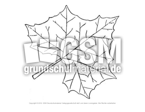 Herbstblatt-zum-Ausschneiden-21.pdf